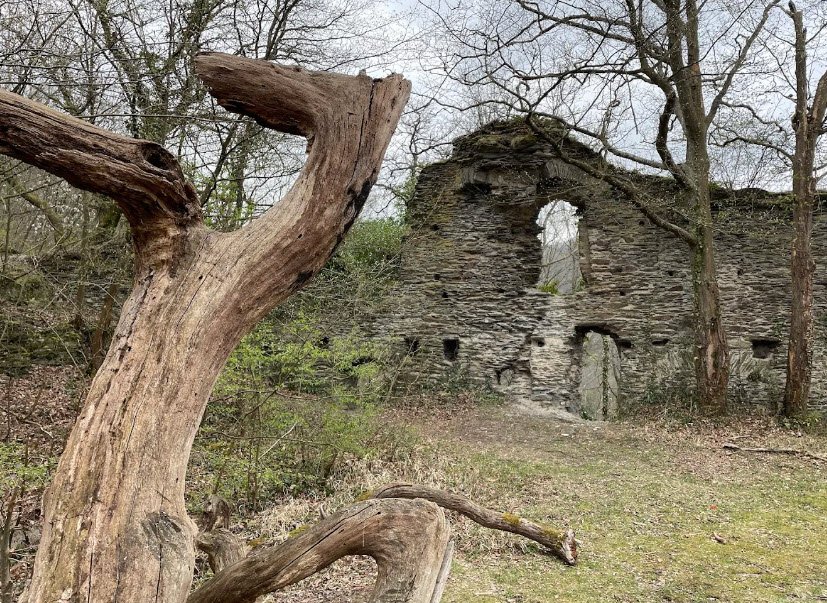 Burgruine Stein, Nassau, Germany, Germany